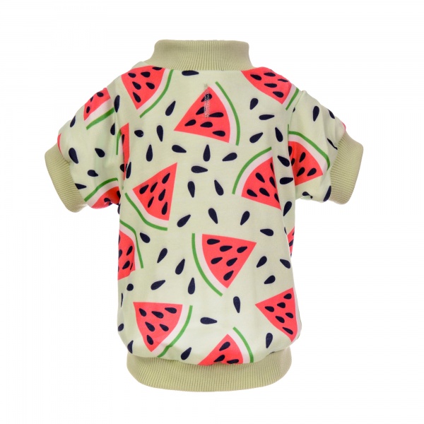 Melontastic Dog Sweatshirt richpaw.co.uk/